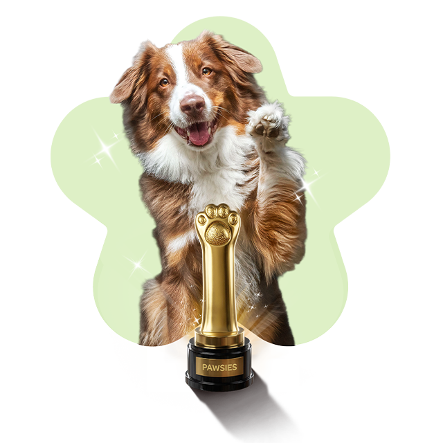 woman sleeping on bed under blankets