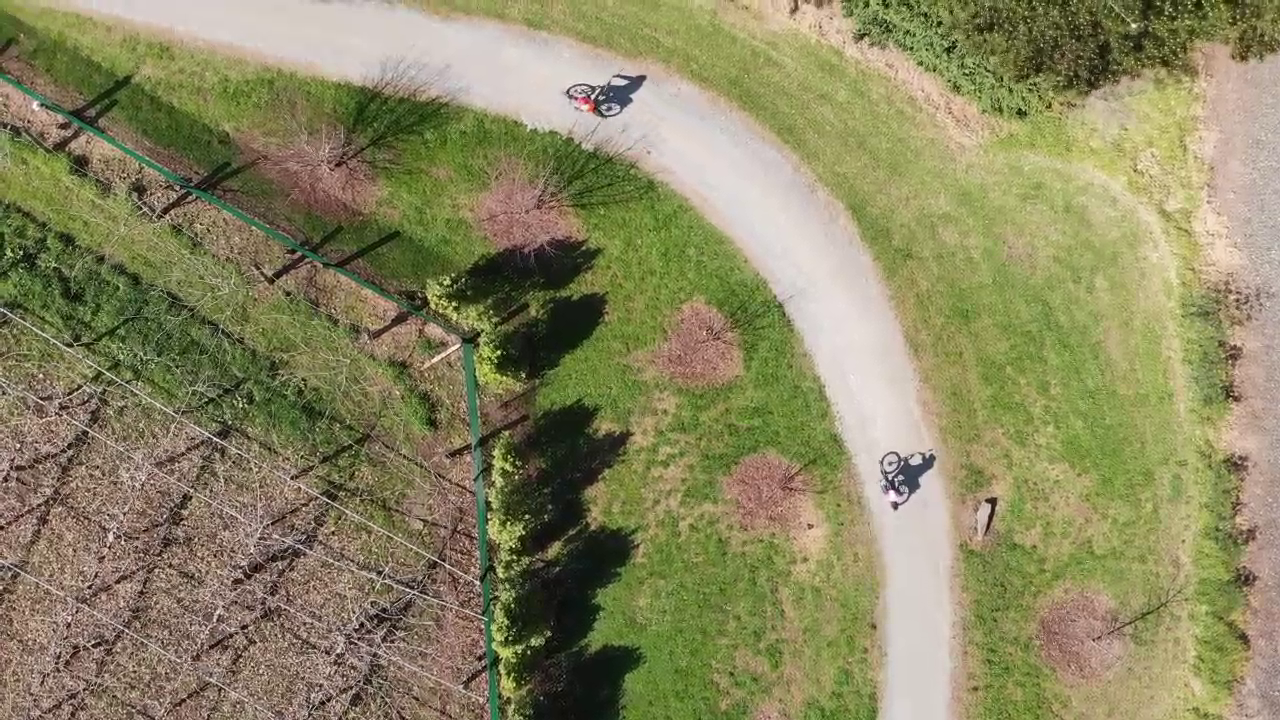 Omokoroa Cycle Trail
