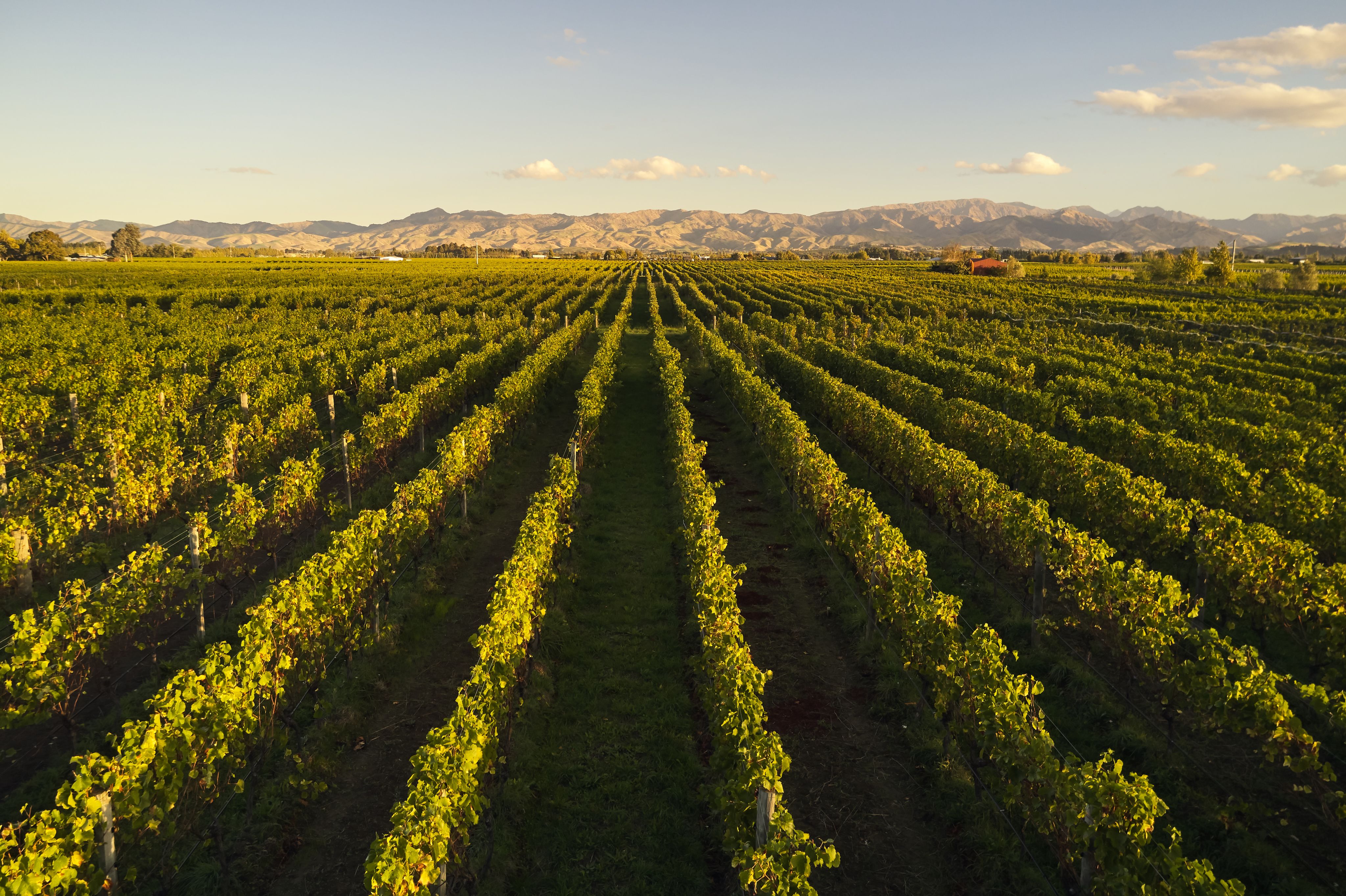 Hans Herzog Artisan Winery