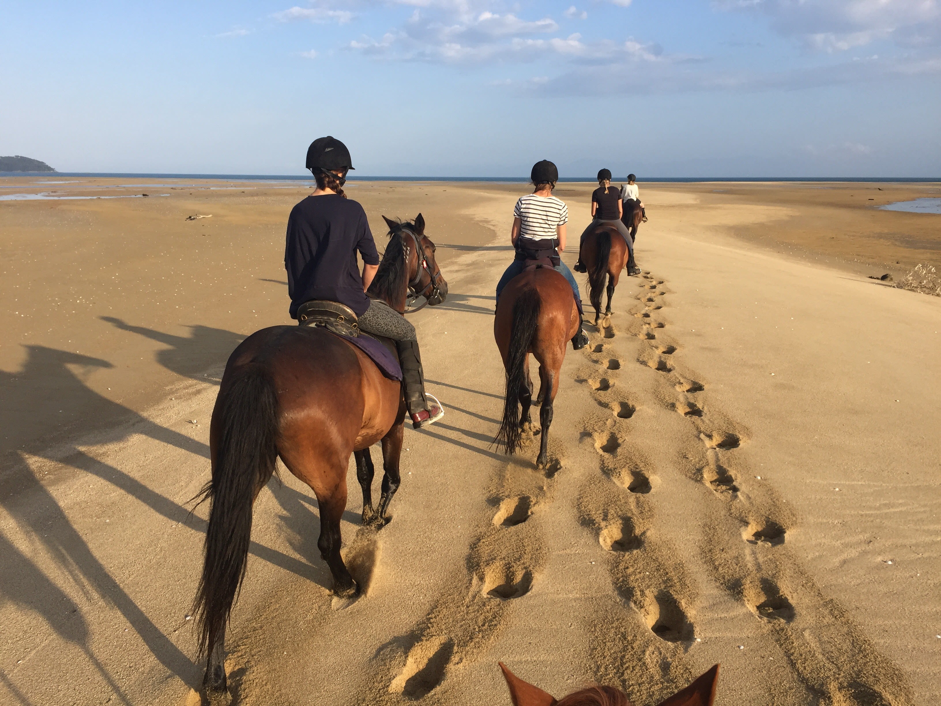 Horseriding on the beach in Marahau with Abel Tasman Horse Treks.