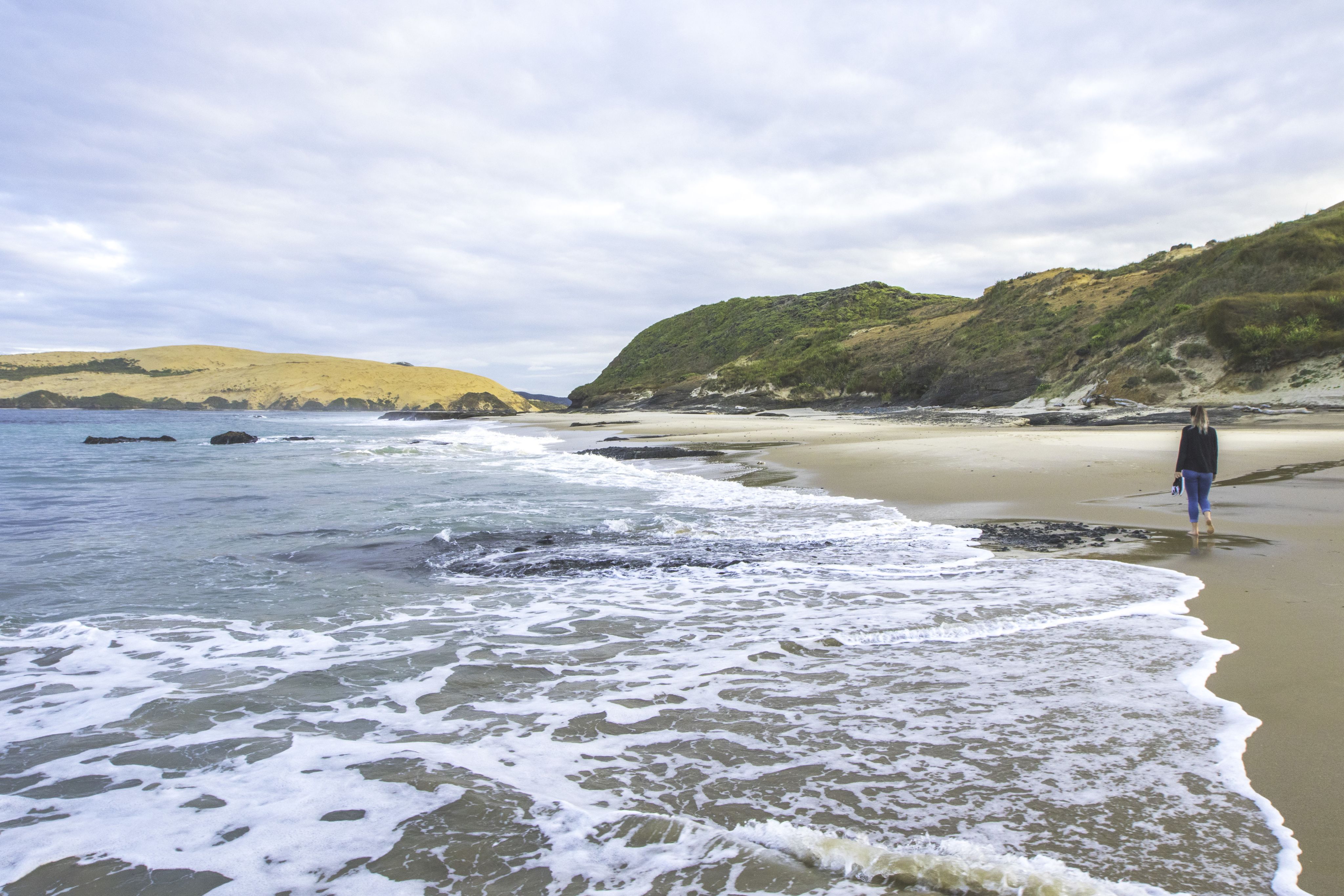 Hokianga Beach.